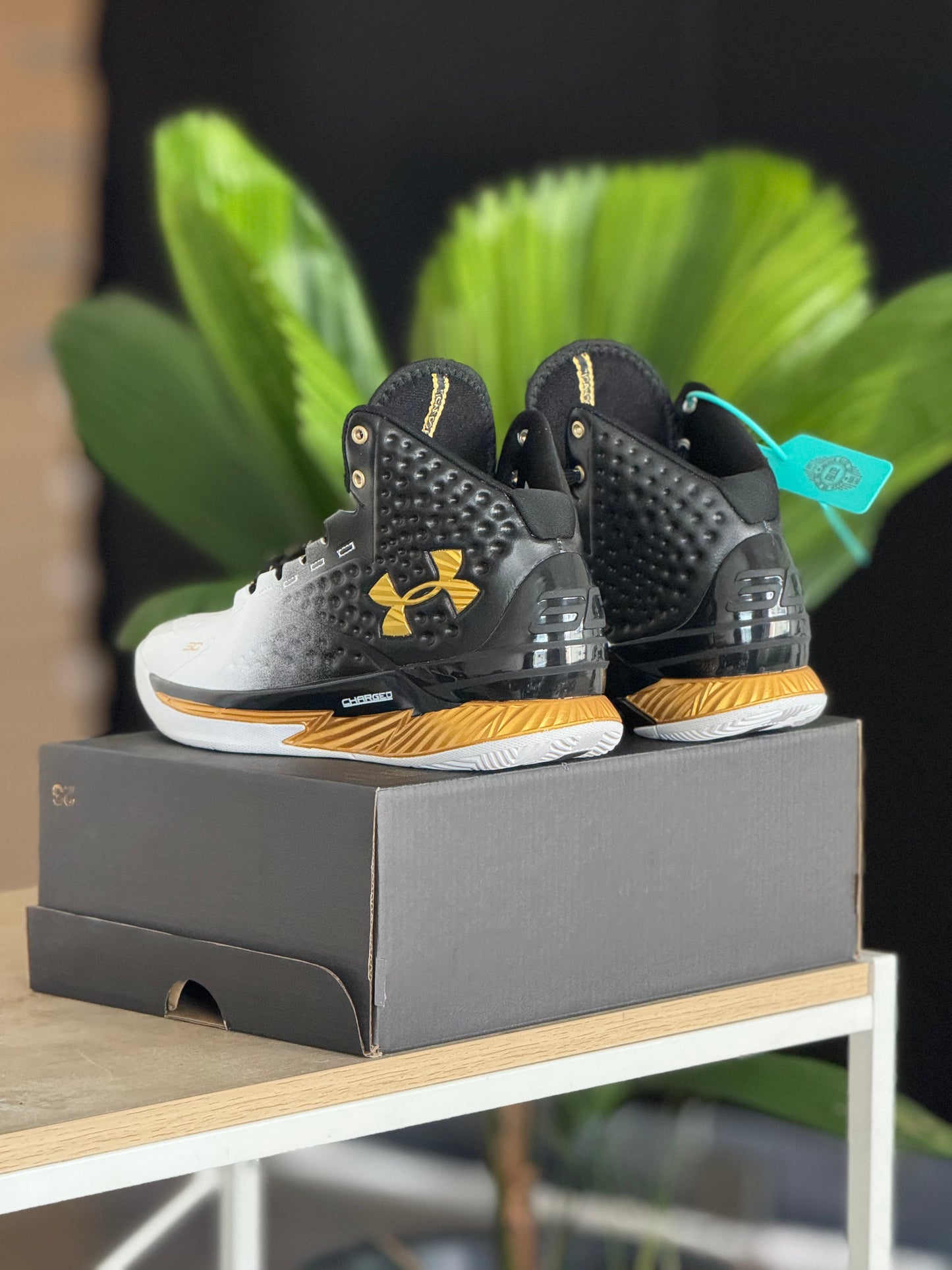 Under Armour Curry 1 MVP